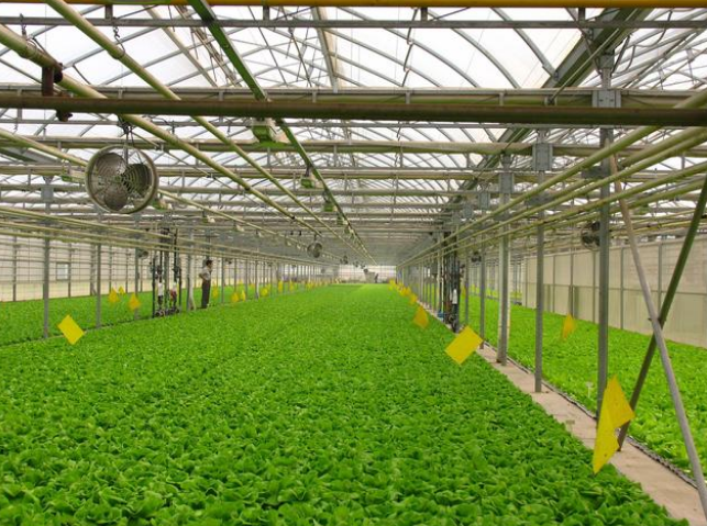 水溶肥选择技巧，选对不吃亏